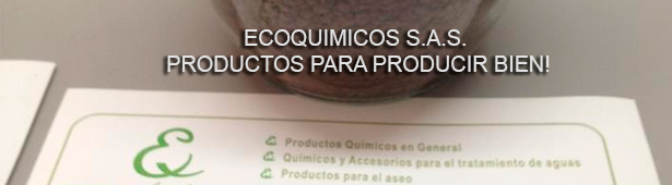 nosotros